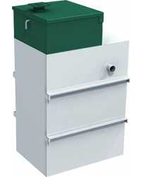 Астра 10 Миди